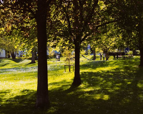 A person taking a relaxing walk in a sunny local park